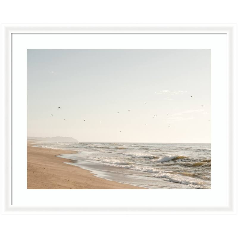 Kate and Laurel Framed Art Coastal Flight by Crystal Lynn Collins - 43x35 - White