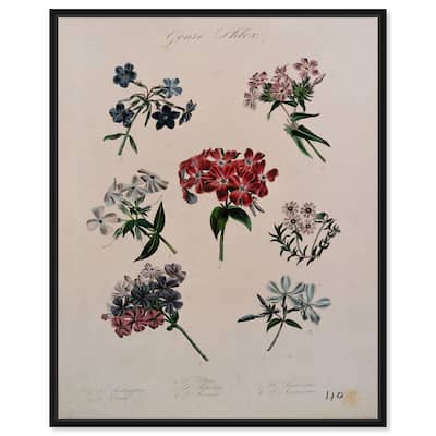 Seven Flowering Plants Canvas by Art Remedy