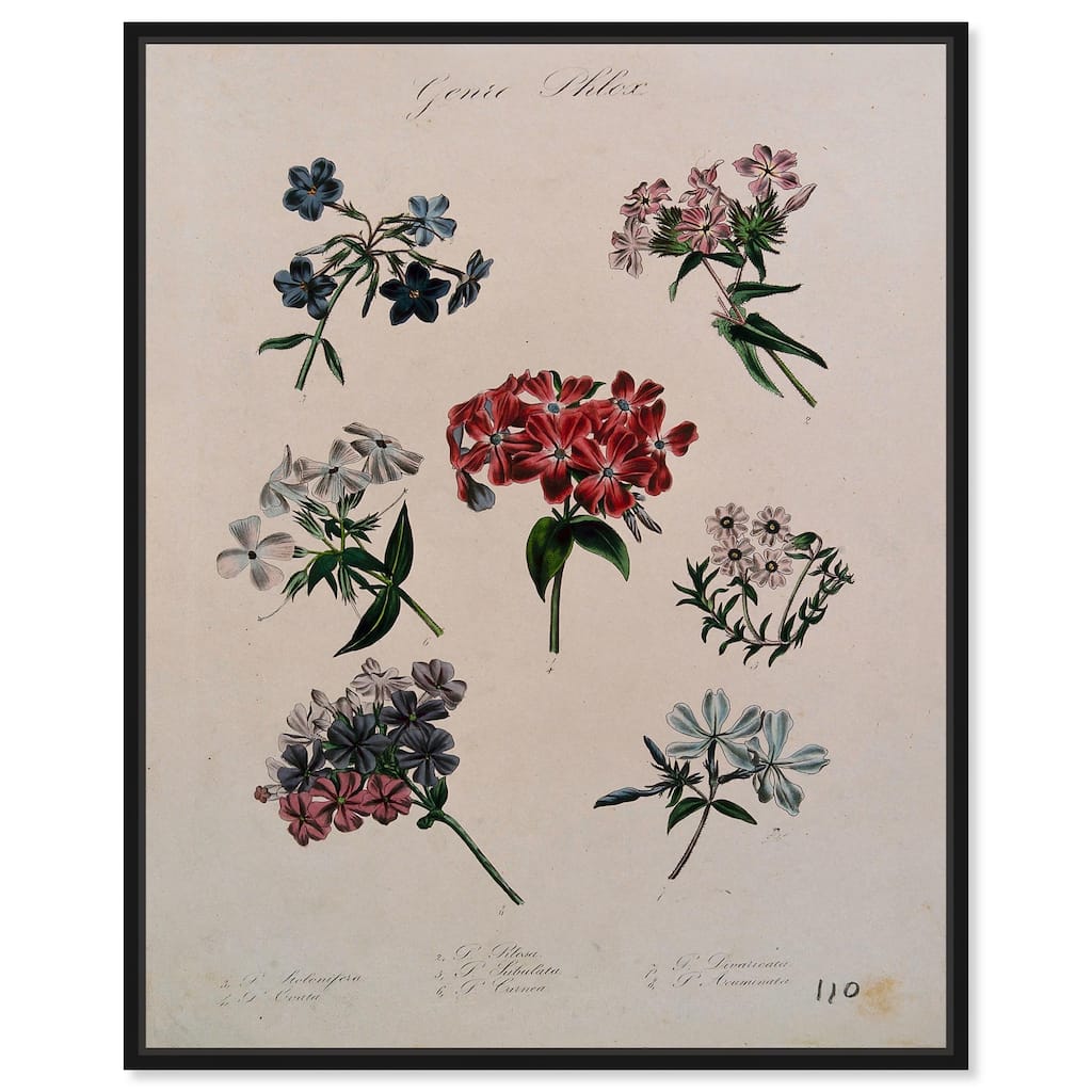 Seven Flowering Plants Canvas by Art Remedy