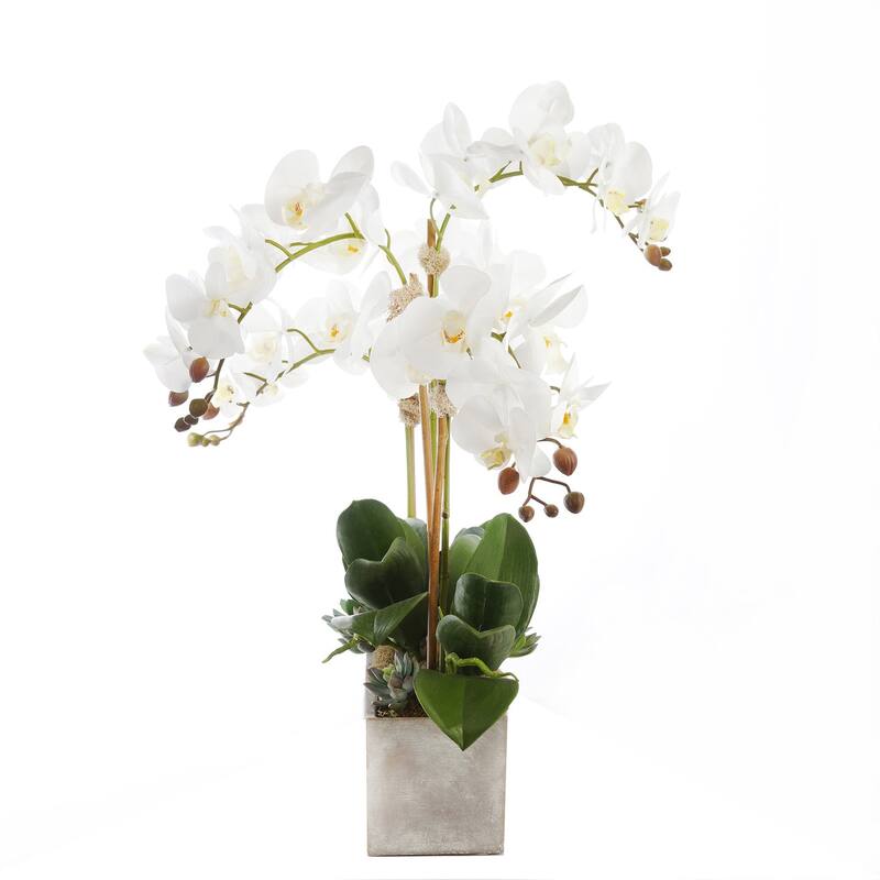 Modern Cream White Real Touch Silk Orchid Arrangement - 28"W x 17"D x 18.5"H