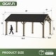 preview thumbnail 32 of 62, Aoxun Outdoor Cedar Wood Gazebo with Double Hardtop Roof
