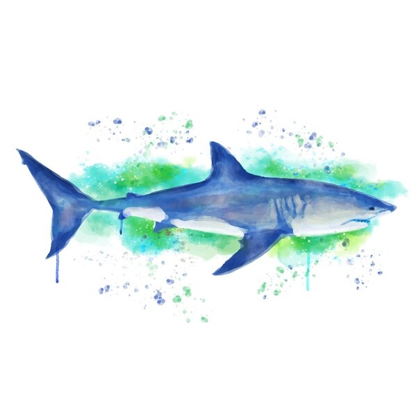 Great White Shark Watercolor Lantern Press Artwork Art Print Multiple Sizes Available 9 X 12 Art Print