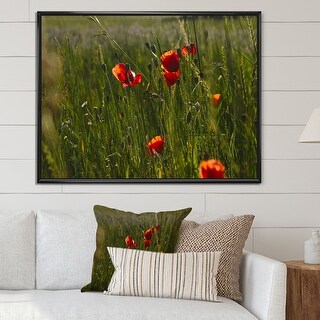 Designart "Green Field Of Red Poppies" Traditional Framed Canvas Art ...