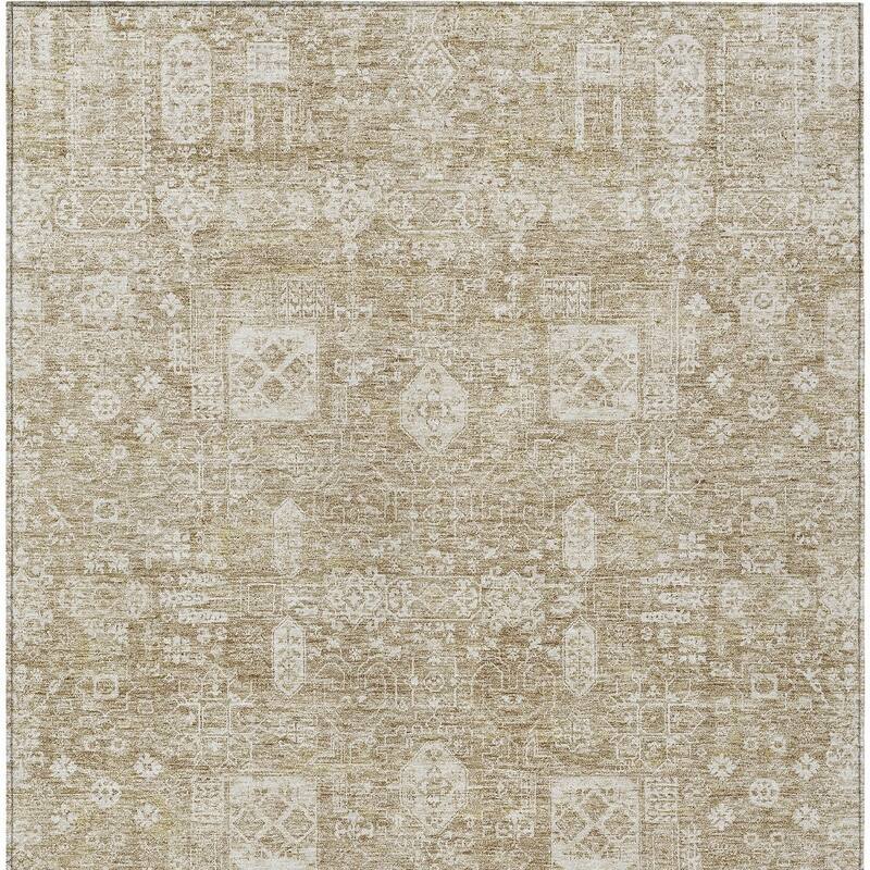 HomeRoots Oriental Transitional Rectangle Outdoor Rug