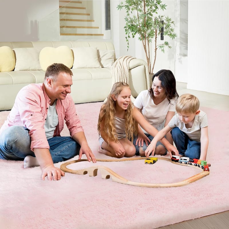 4X6 Fluffy Shag Area Rugs, Super Soft Rugs for Living Room