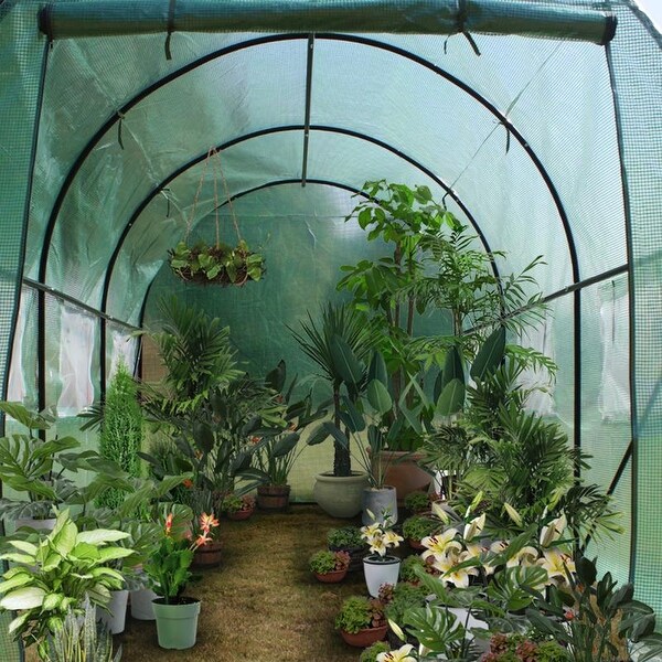 Heavy Duty Greenhouse Plant Gardening Dome Greenhouse Tent 12FT/15FT. Opens flyout.