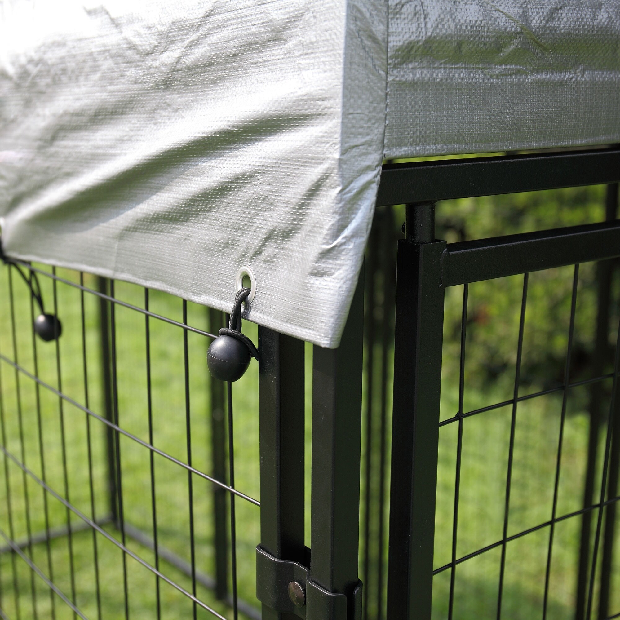 Dog crate with roof outlet