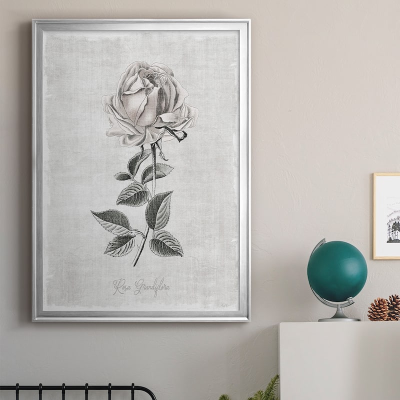 Vintage Botanical II Premium Framed Print - Ready to Hang