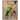 Coral and Green Parrot II Canvas by Art Remedy