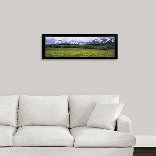 "Wildflowers in a field, East Glacier Park, US Glacier National Park, Montana" Black Framed Print