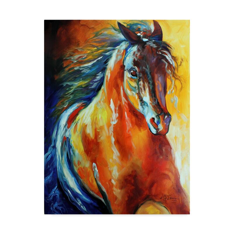 Marcia Baldwin 'Thunder Magic' Canvas Art