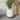 Raya White Mid-Century Modern Planter with 3-Leg Metal Base