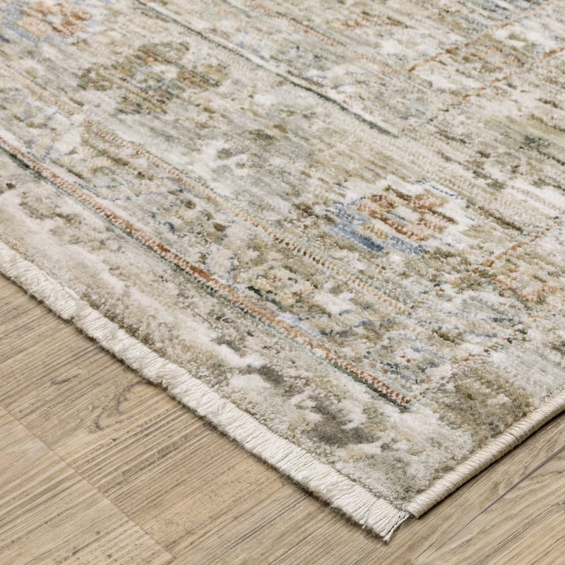 Amira Distressed Traditional Beige/ Grey Area Rug
