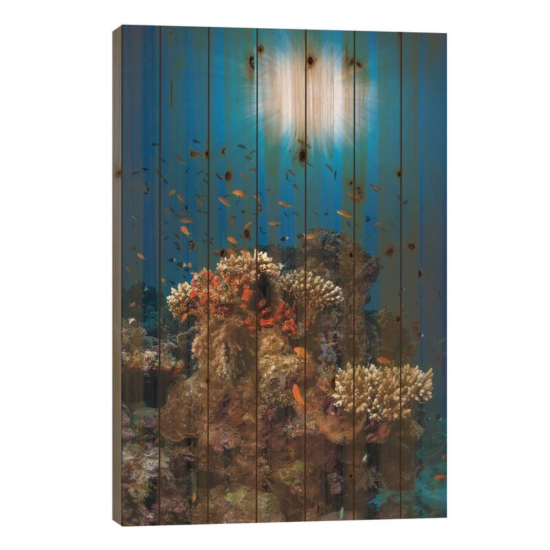Reef And Sunshine Print On Wood by Barathieu Gabriel - Multi-Color - 26x18x1.5