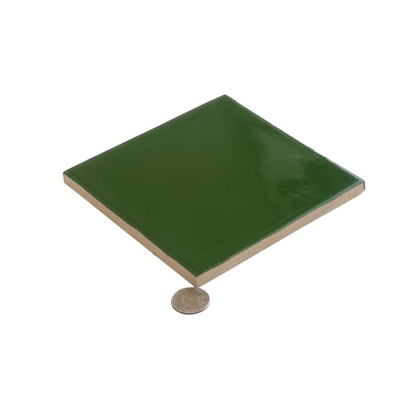 Apollo tile 6" x 6" Terralis Glossy Deep Forest Green Porcelain Tile (4.65 sq ft/case) - 19 Pack