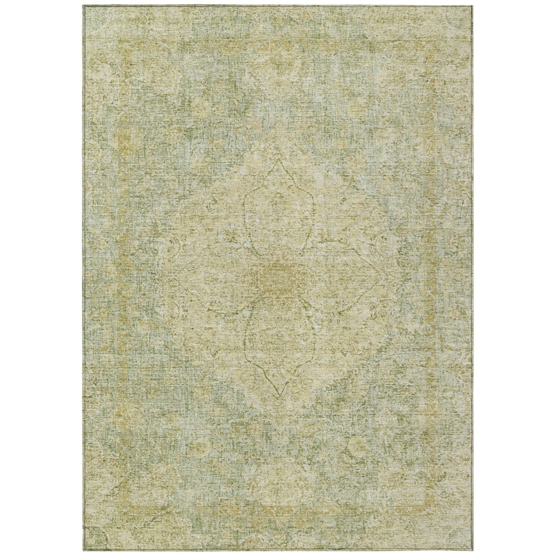 Machine Washable Indoor/Outdoor Traditional Global Chantille Rug
