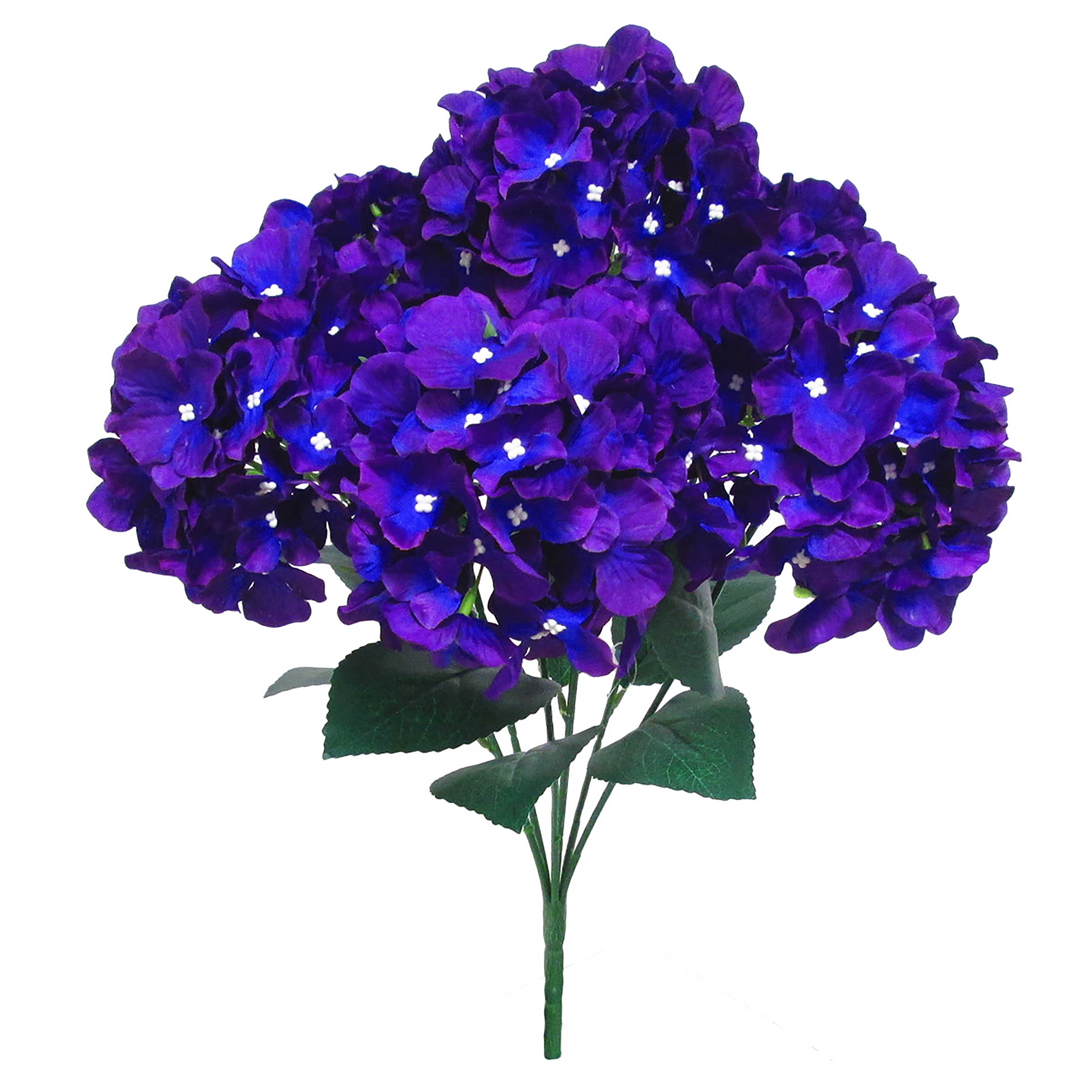 Hydrangea4937　0602 Longfield Gardens Tree Form Shrubs, 2-pack | Costco