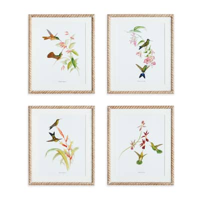 Playful Hummingbird Prints