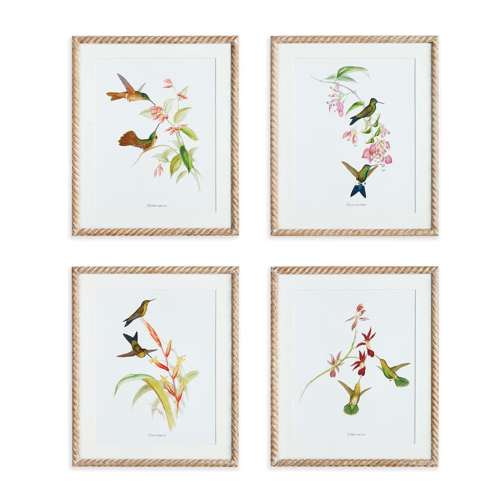 Playful Hummingbird Prints