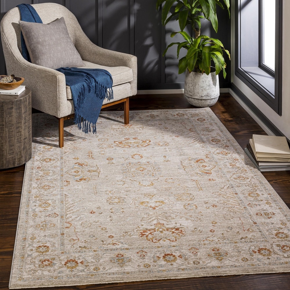 Anthony Traditional Area Rug