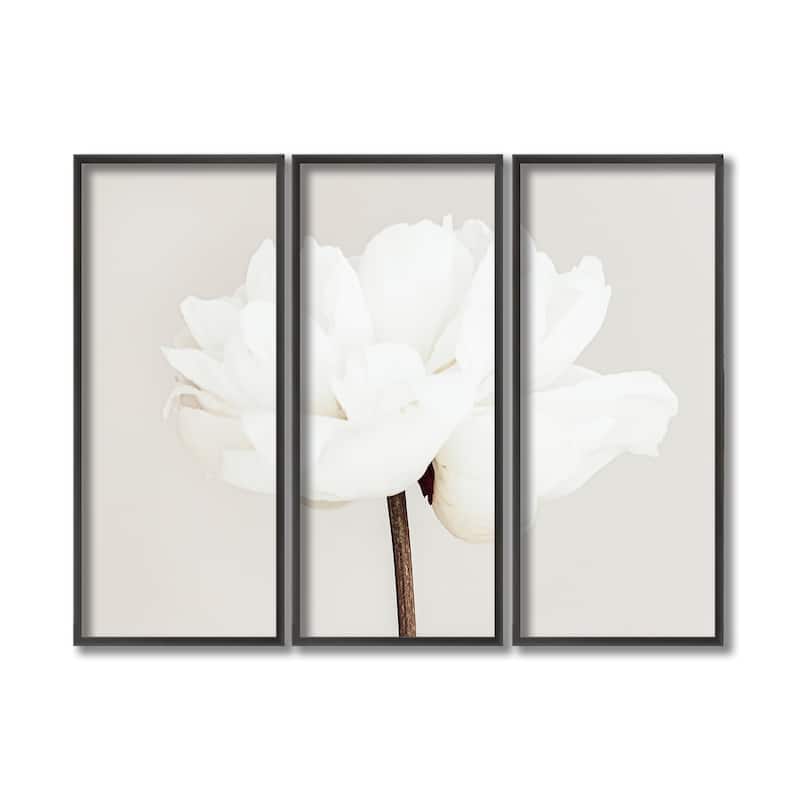 "Peony 11" Framed 3-Piece Wall Art Set by 1X