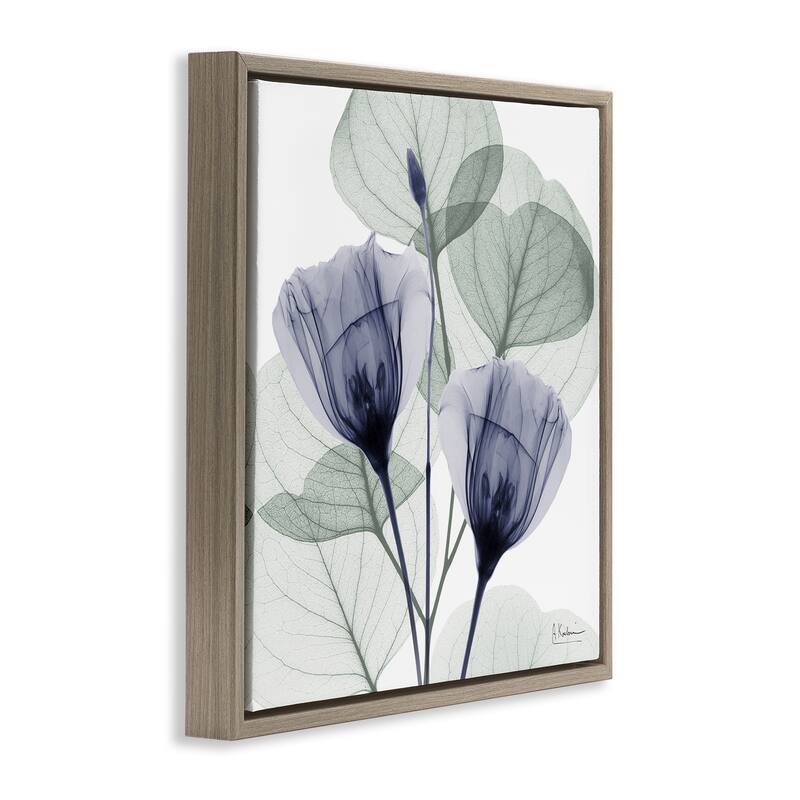 Stupell Contemporary Eucalyptus & Herbs Framed Floater Canvas Wall Art Design By Albert Koetsier