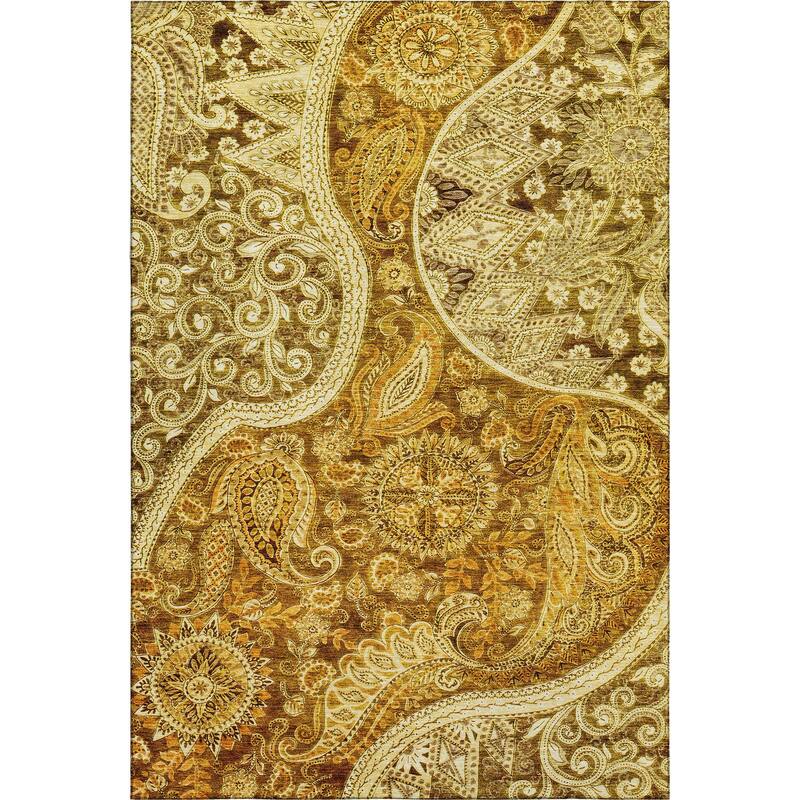 Premium Washable Super Soft Modern Paisley Mayfield Rug