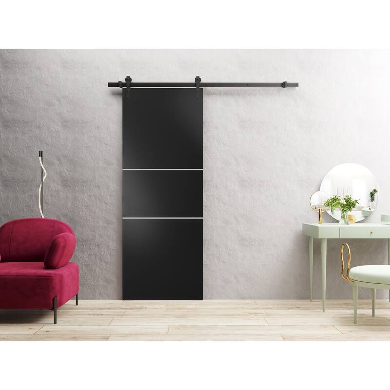 Sturdy Barn Door 36 x 80 Planum 0110 Matte Black with 6.6FT