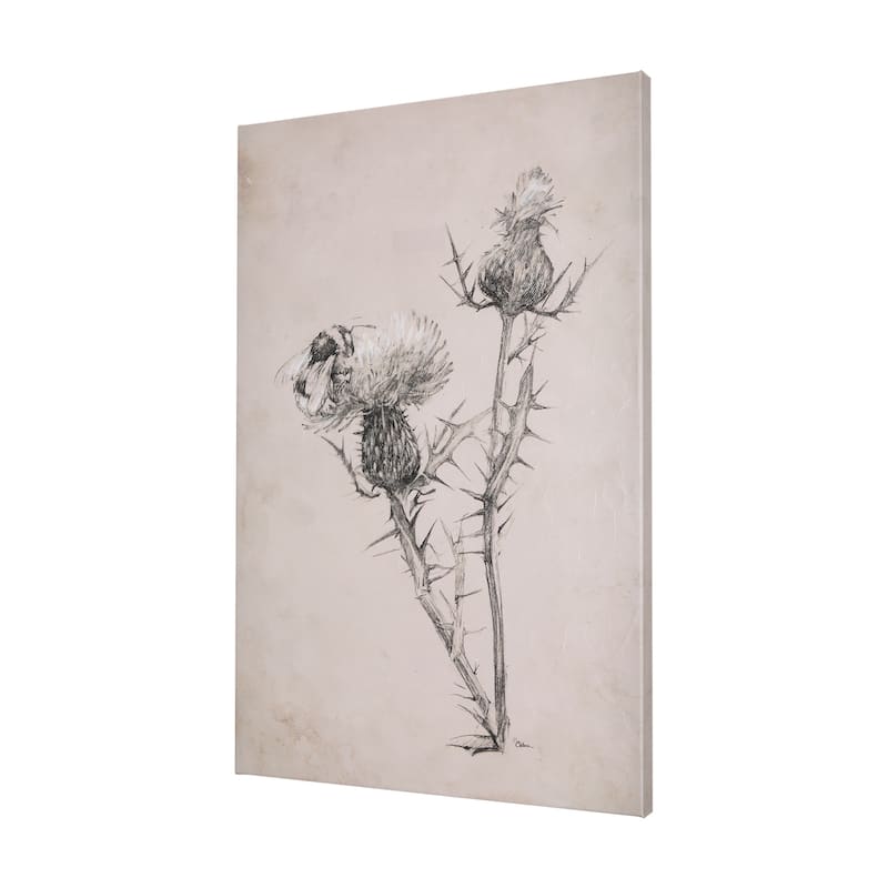 Thistle With Bumblebee Drawing IV (40 x 60) Canvas Art Print