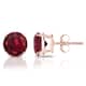 Option Rose