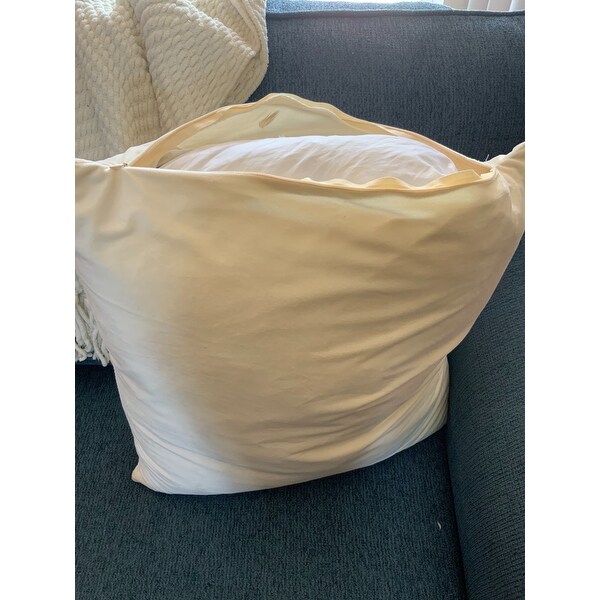 21 inch pillow insert