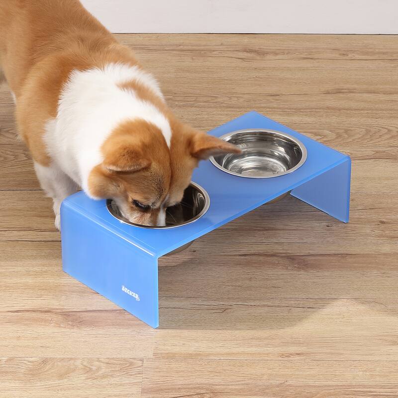 Keaton 5" Small/Medium Modern Lucite Rectangular Elevated Pet Feeder with 20oz 2-Stainless Steel Bowls