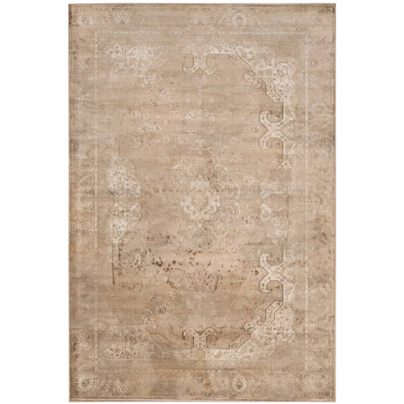 SAFAVIEH Vintage Distressed Boho Argjentina Oriental Rug