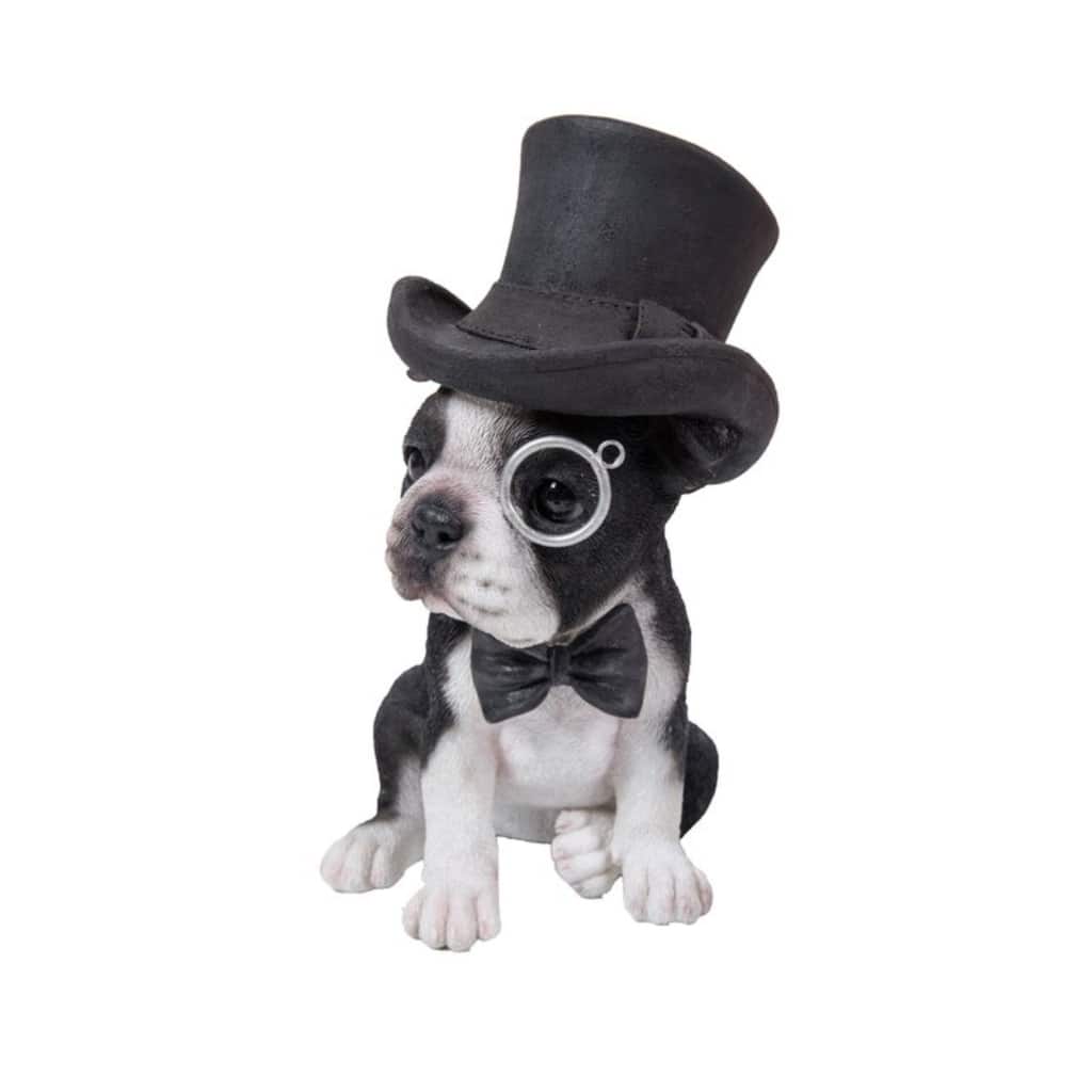 8" Boston Terrier with Hat Outdoor Garden Statue