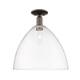 Option Oil Rubbed Bronze / Clear