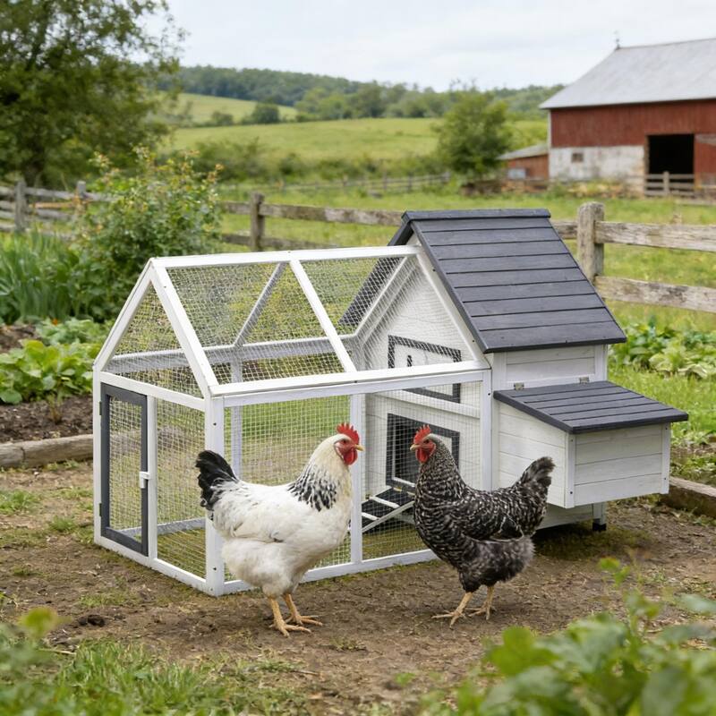 Chicken Coop Wooden,Hen House