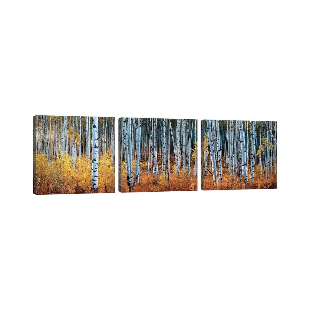 iCanvas "Colorado Autumn Wonder Panorama" by OLena Art 3-Piece Canvas Wall Art Set