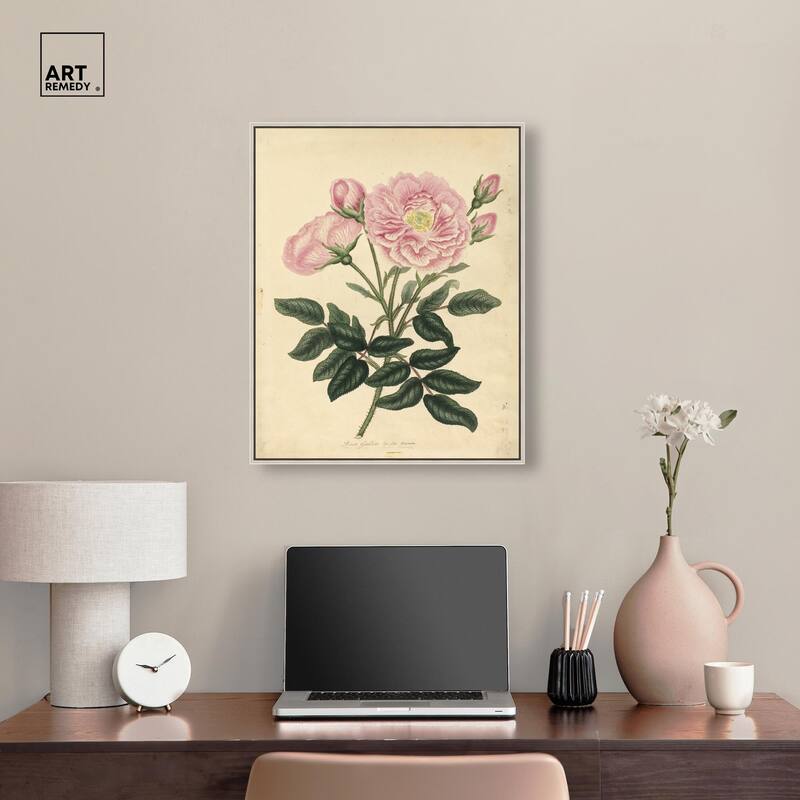 French Rose Canvas by Art Remedy