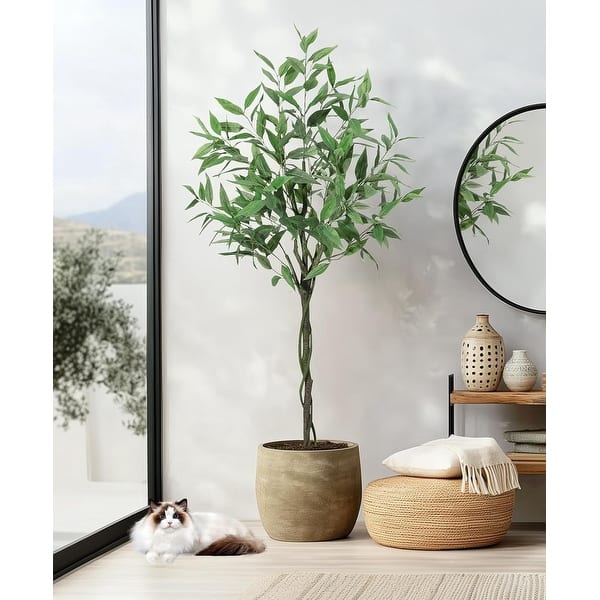 olivenbaum balkon kaufen Mediteraner Olivenbaum Balkon – Green Me Up main image 1