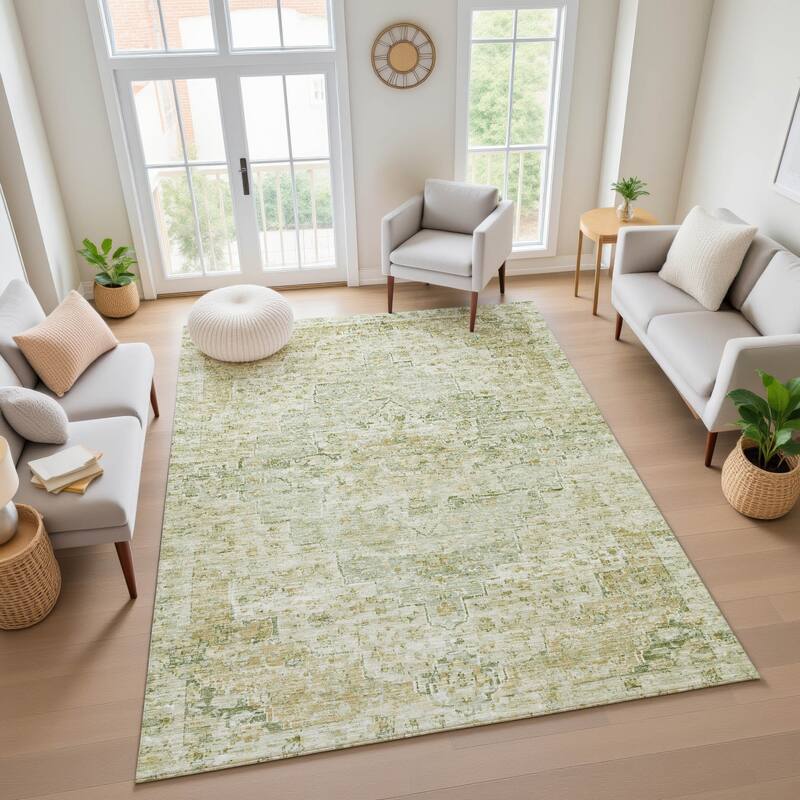 Premium Washable Super Soft Vintage Traditional Mayfield Rug
