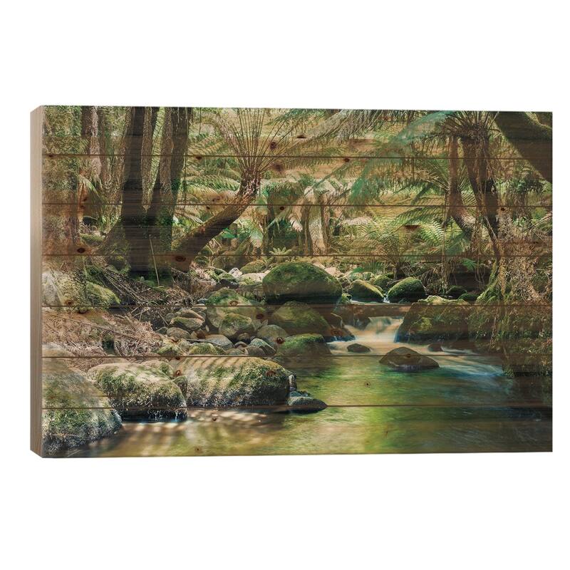 River In The Tasmanian Rainforest Print On Wood by Matteo Colombo - Multi-Color - 26x40x1.5