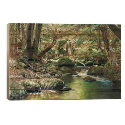 River In The Tasmanian Rainforest Print On Wood by Matteo Colombo - Multi-Color
