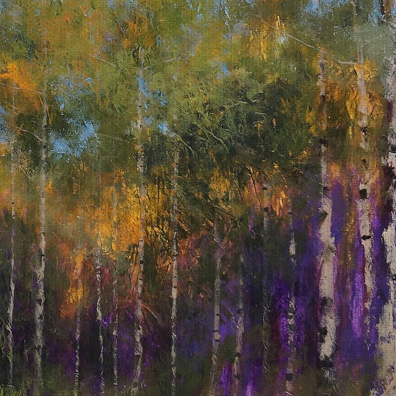 Aspen Autumn by Thomas Stotts Canvas Art Print