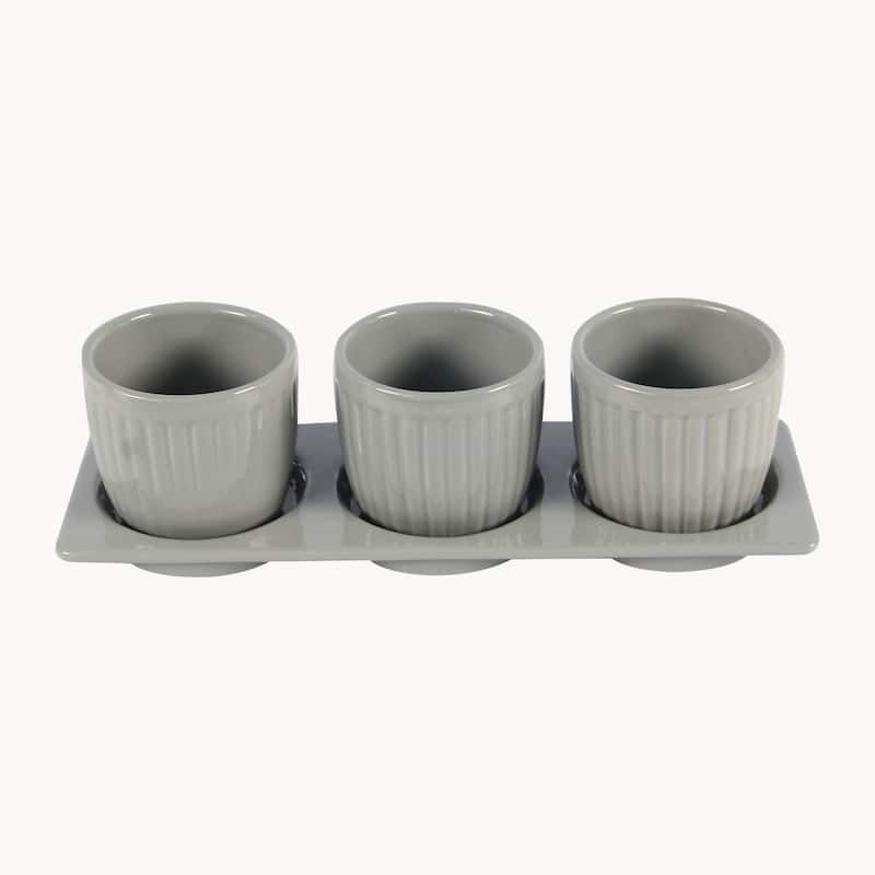 Gerbera Ceramic Planter Set with Disk