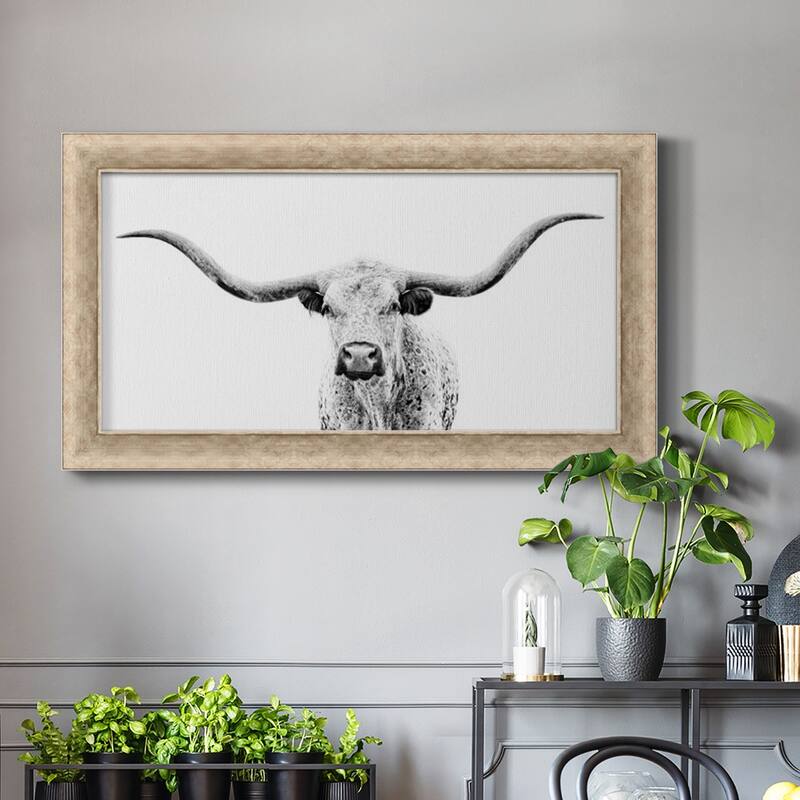 Longhorn Gaze Premium Framed Canvas- Ready to Hang