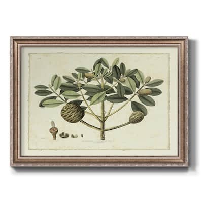 Delicate Botanical IV Premium Framed Canvas- Ready to Hang