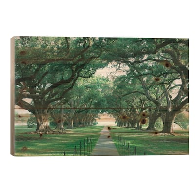 Brick Path Through Alley Of Oak Trees, Louisiana, New Orleans, USA Print On Wood by Panoramic Images - Multi-Color
