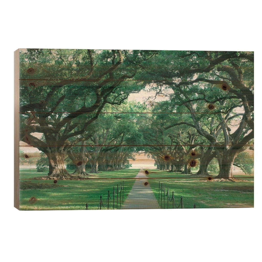 Brick Path Through Alley Of Oak Trees, Louisiana, New Orleans, USA Print On Wood by Panoramic Images - Multi-Color
