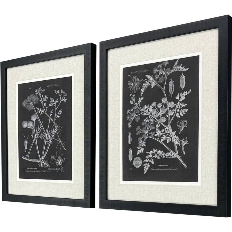 Paragon Mono Botanicals I Framed Art - Set of 2