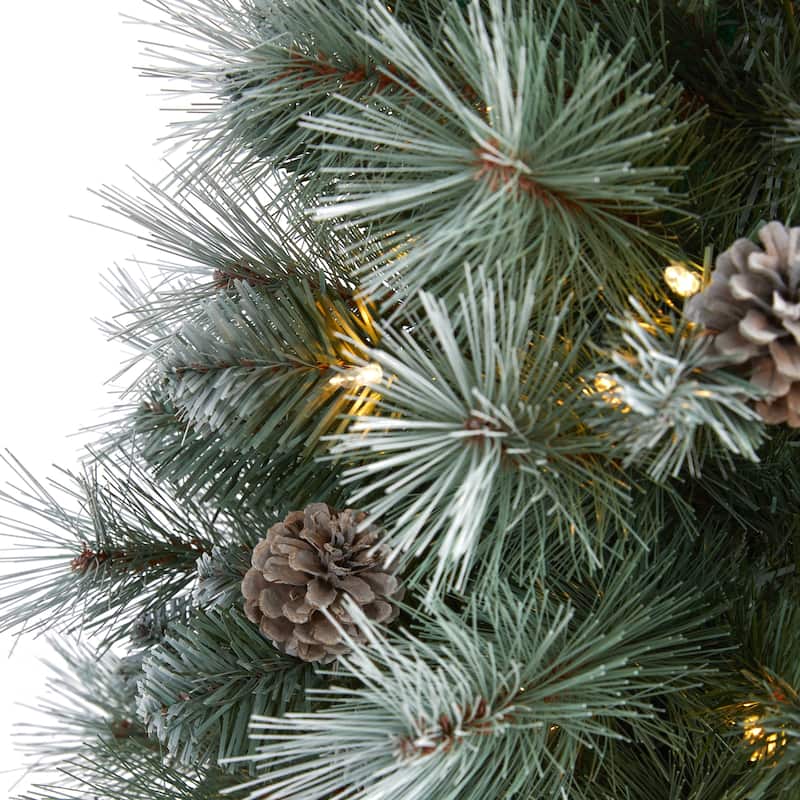 3' Frosted Tip British Columbia Mountain Pine Artificial Christmas Tree with 50 Clear Lights,